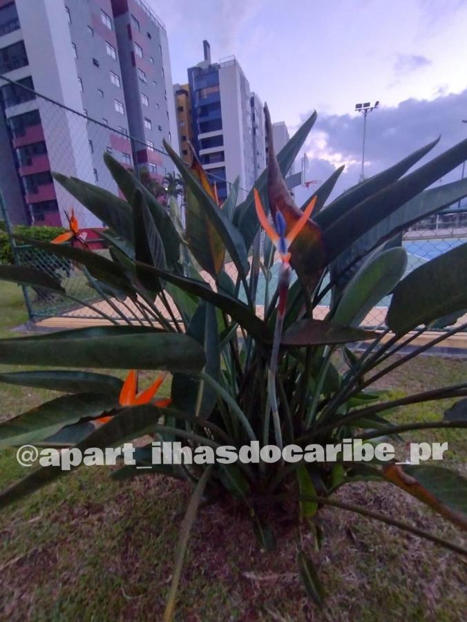 Apartment Apto Cond Ilhas Do Caribe - Pr - Beira Mar