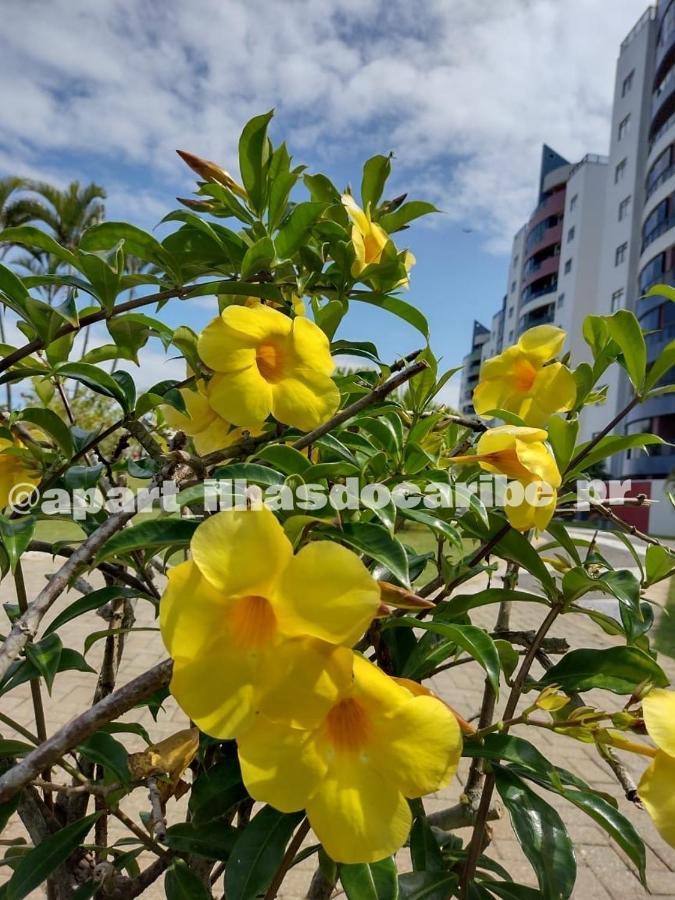 Apto Cond Ilhas Do Caribe - Pr - Beira Mar Apartment *
